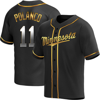 Youth Jorge Polanco Minnesota Black Golden Replica Alternate Baseball Jersey (Unsigned No Brands/Logos)